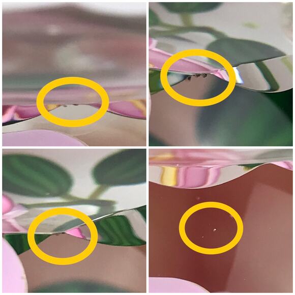 Perthshire 1987C Theobroma Cacao Flower Scallop Faceted Lampwork Paperweight COA - Picture 12 of 16